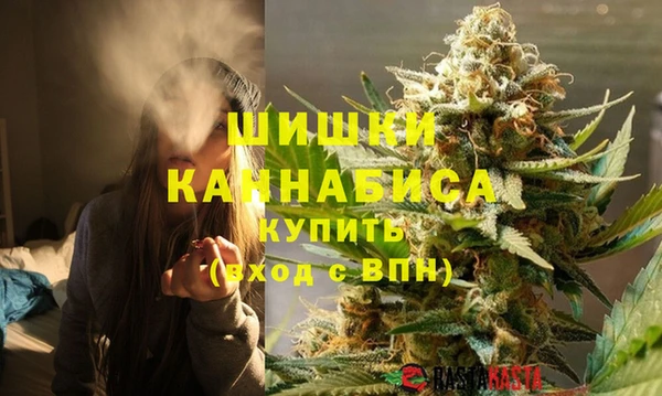 мдпв Горно-Алтайск