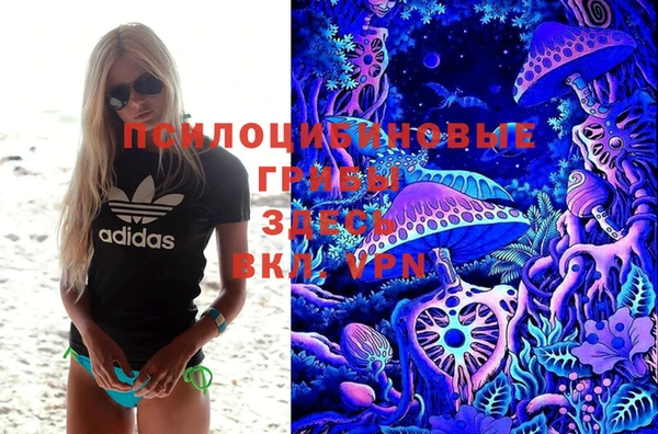 мдпв Горно-Алтайск