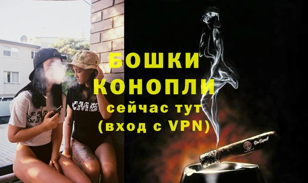 мдпв Горно-Алтайск